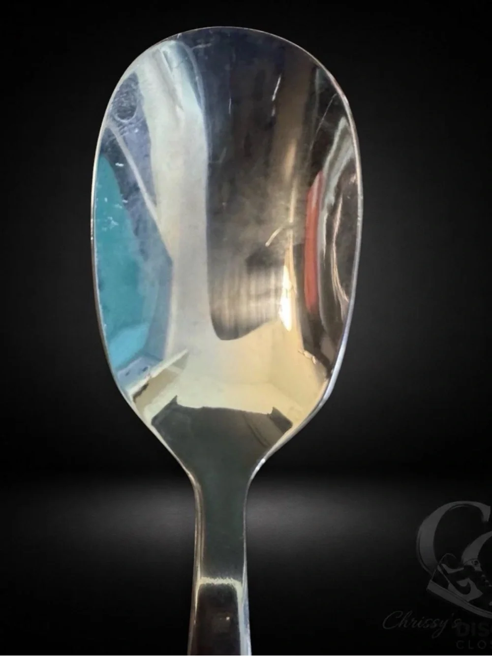 Oneida Stainless Place Spoon Glossy Flatware Replacement